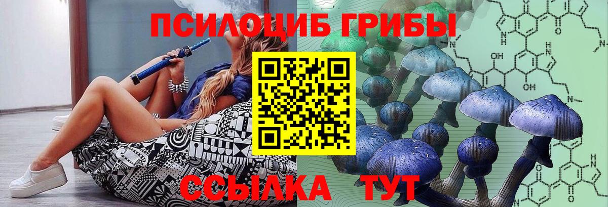 Псилоцибиновые грибы ЛСД  наркотики  Россия  Вход с VPN 